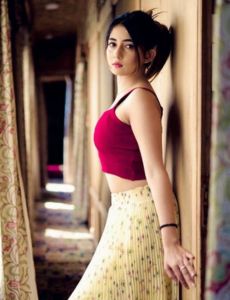 escort service in Zirakpur