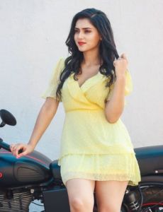 Zirakpur call girls
